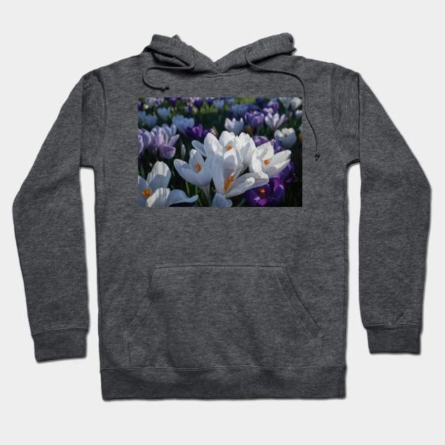 The flowers that bloom in the Spring tra la! (2) Hoodie by Violaman